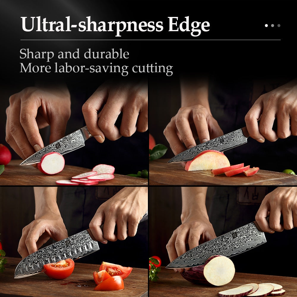 XINZUO 1pcs/5pcs Kitchen Knives Set 67Layer VG10 Damascus Steel Chef Cleaver Santoku Utility Paring Knife Pakkawood Handle