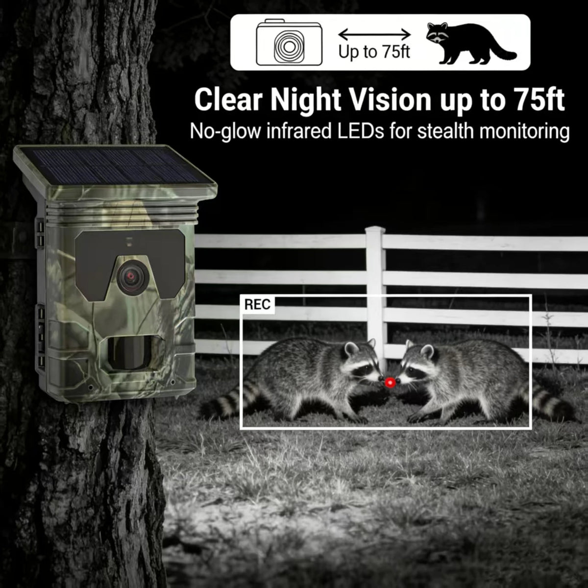 Solar Trail Camera 50MP 4K