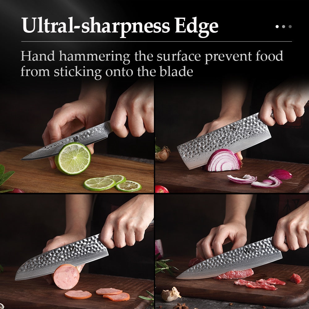 XINZUO 5PCS Kitchen Knife Sets 67 Layers High Carbon Damascus Stainless Steel Knife Cleaver Chef Utility with Pakka Wood Handle