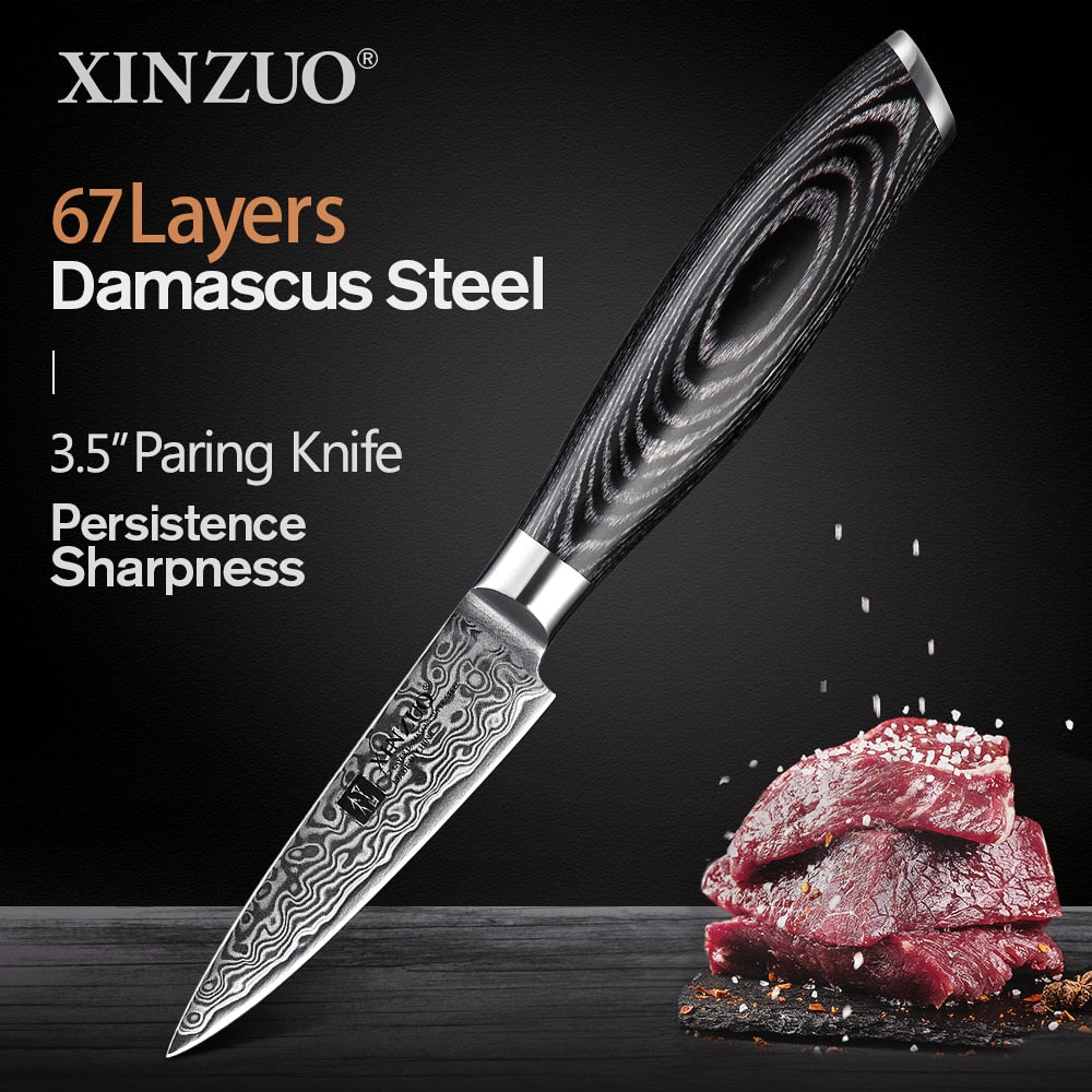 XINZUO 1pcs/5pcs Kitchen Knives Set 67Layer VG10 Damascus Steel Chef Cleaver Santoku Utility Paring Knife Pakkawood Handle