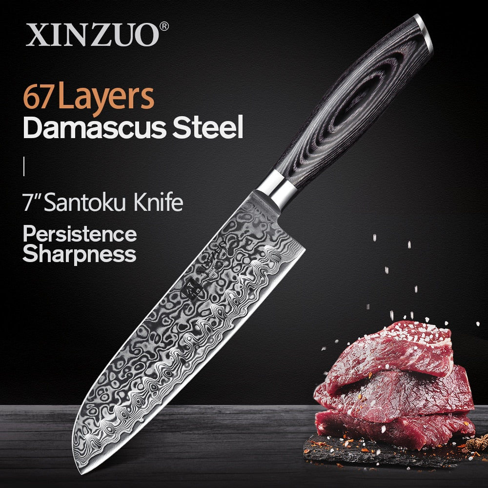 XINZUO 1pcs/5pcs Kitchen Knives Set 67Layer VG10 Damascus Steel Chef Cleaver Santoku Utility Paring Knife Pakkawood Handle