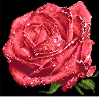 5d beaded cross stitch water rose embroidery beads home decor 5d beaded cross stitch kit printed canvas kits borduren met kralen