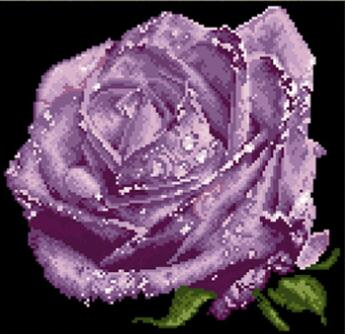 5d beaded cross stitch water rose embroidery beads home decor 5d beaded cross stitch kit printed canvas kits borduren met kralen