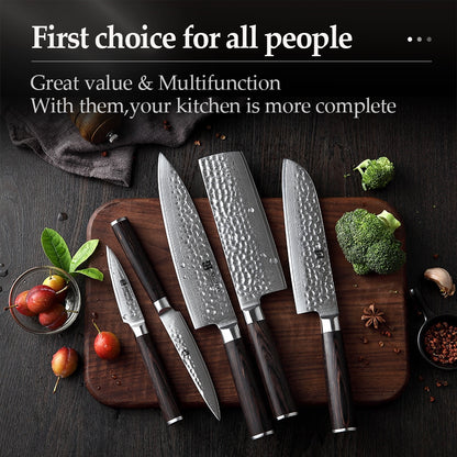 XINZUO 5PCS Kitchen Knife Sets 67 Layers High Carbon Damascus Stainless Steel Knife Cleaver Chef Utility with Pakka Wood Handle