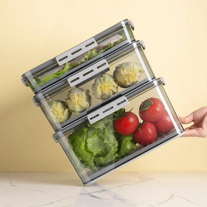 Kitchen Storage Food organizer Container Seal Stable Cans For Fridge High-capacity Fresh Eggs Vegetable Fruit Storage Box