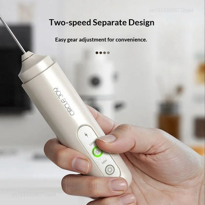 Electric Milk Frother